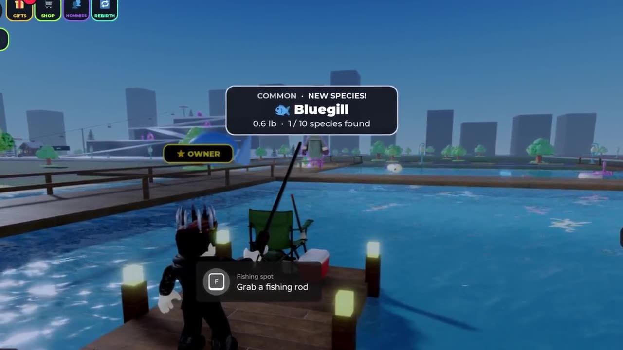 A player fishing from the dock at the Lake, catching a Bluegill